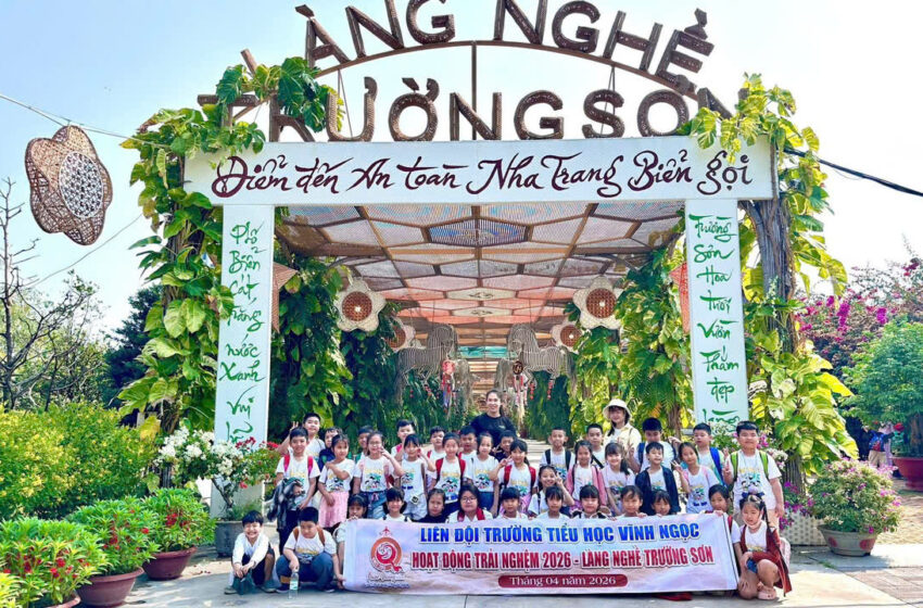  Hoạt Động Trải Nghiệm ngoài nhà trường